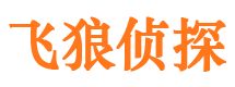 洛隆调查公司